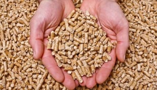 Come scegliere il miglio pellet sul mercato