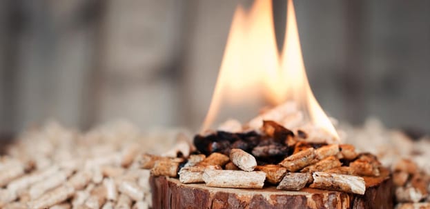 Immagine del pellet combustibile Immagine del pellet combustibile